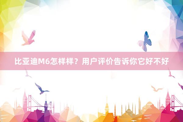 比亚迪M6怎样样？用户评价告诉你它好不好